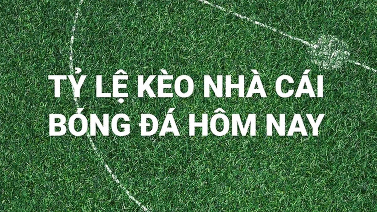avt-keo-nha-cai-22